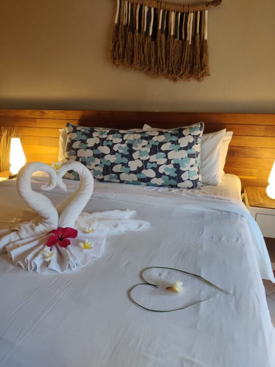 Zimmer Friday Attitude