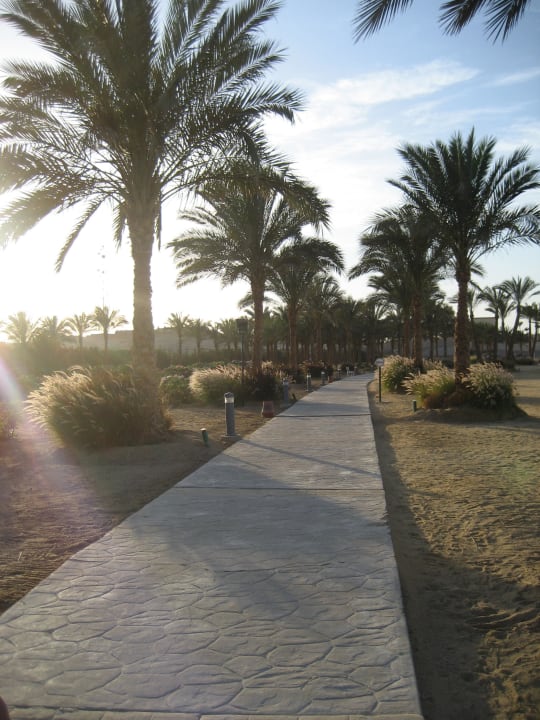 Weg am Strand Steigenberger Coraya Beach - Adults only