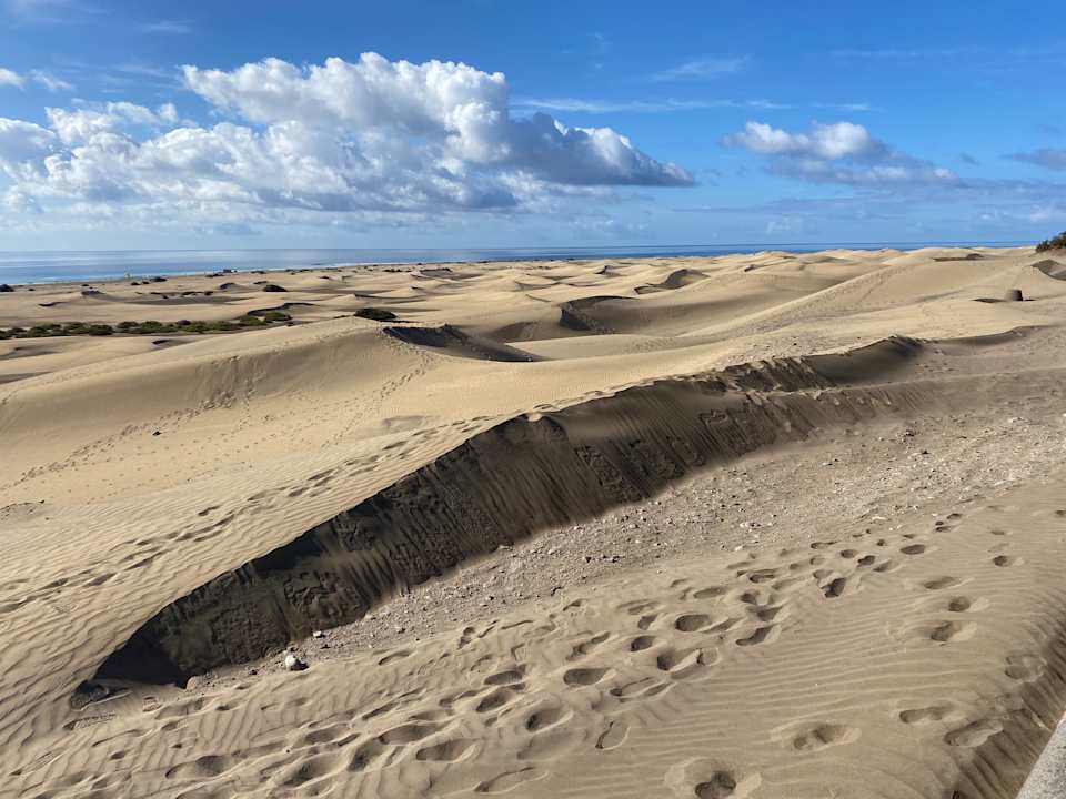 Sonstiges Corallium Dunamar Garden by Lopesan Hotels