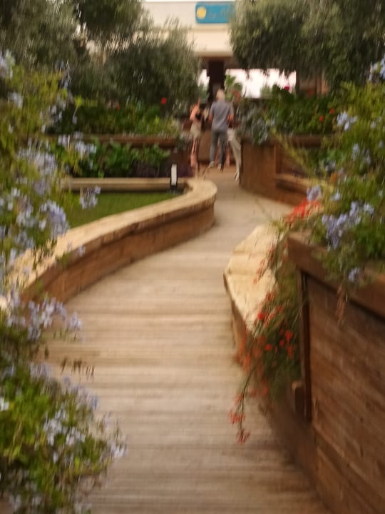 Gartenanlage Sentido Trendy Verbena Beach