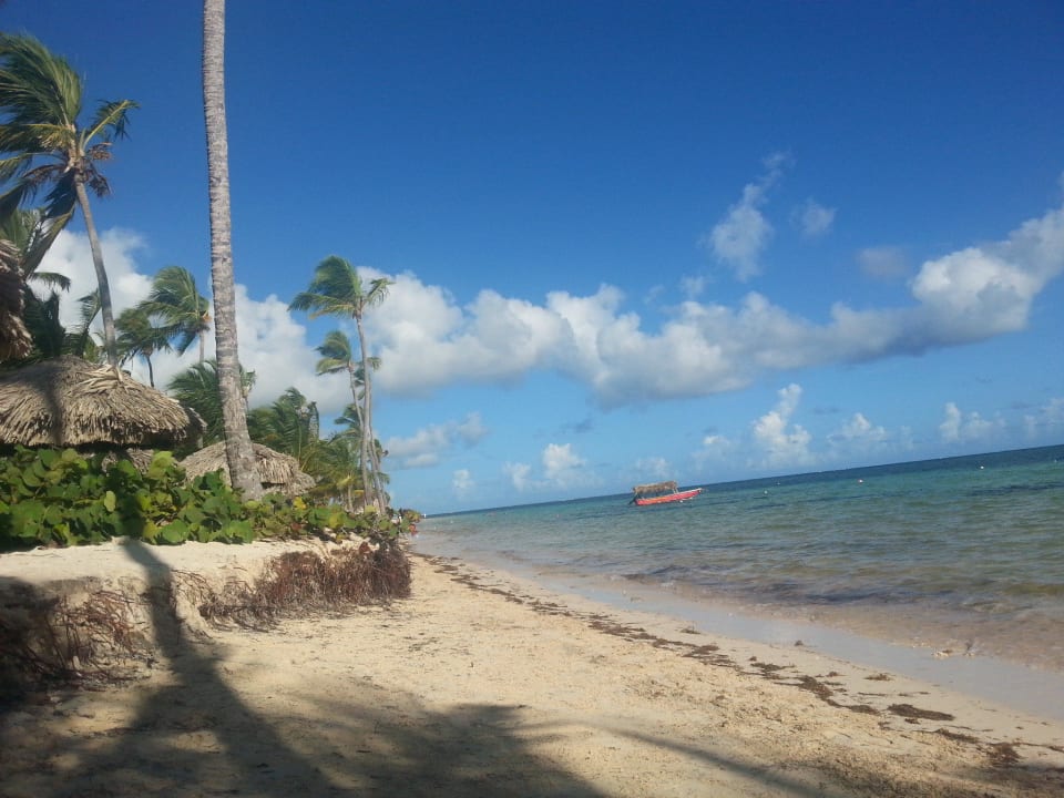 Strand / Meer "Royal"-Bereich Catalonia Royal Bavaro - Adults only