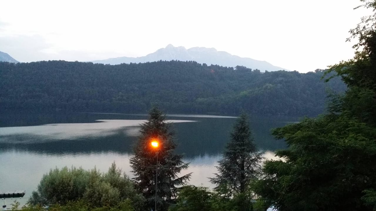 Ausblick auf den See Parc Hotel Du Lac