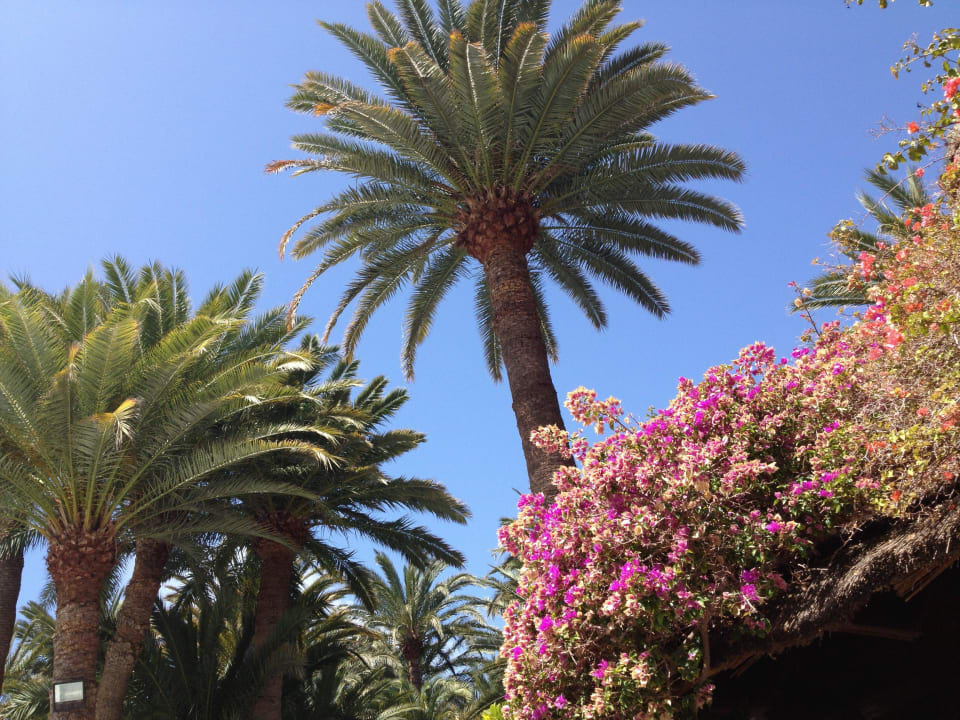 Entspannung Seaside Hotel Palm Beach
