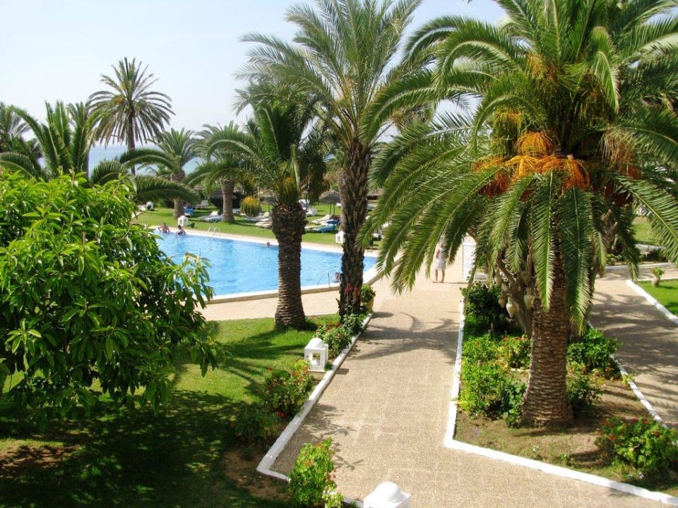 Weg zum Pool TUI BLUE Palm Beach Hammamet