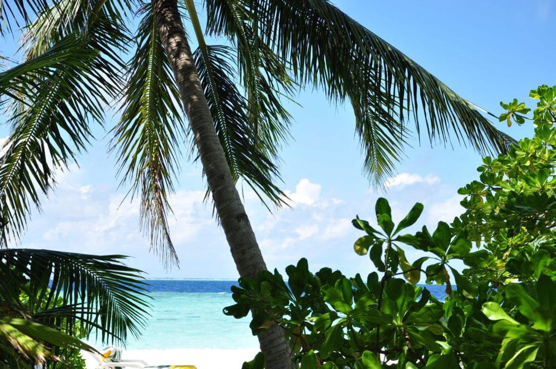 Strand Fihalhohi Maldives
