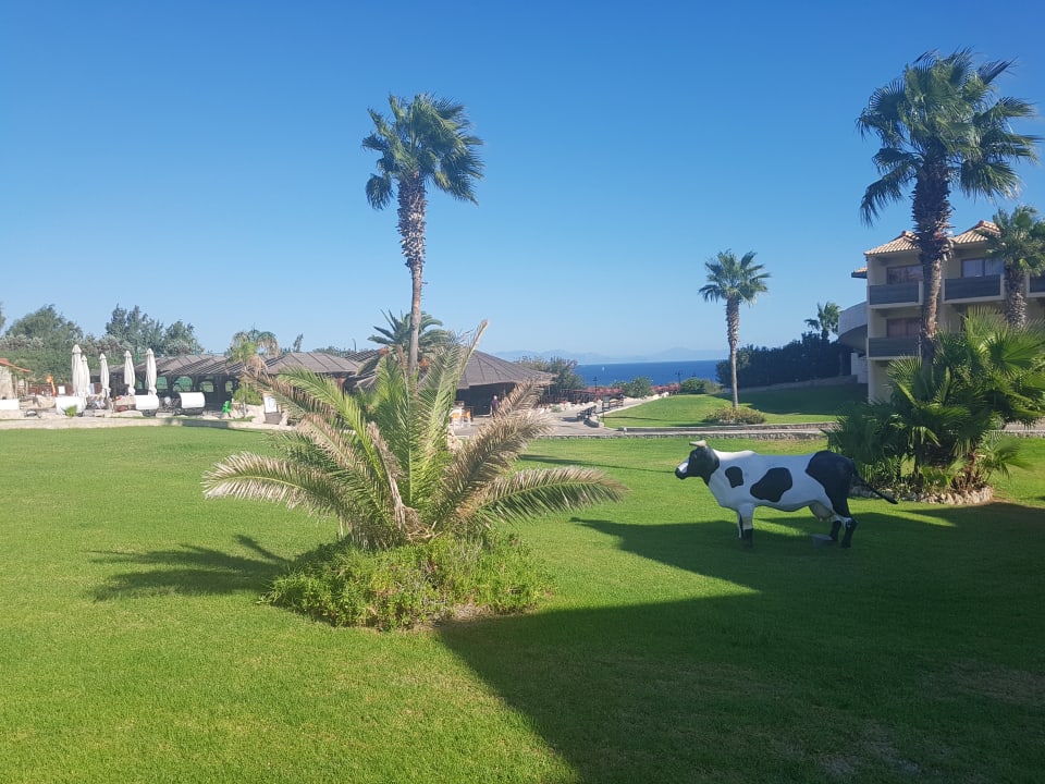 Gartenanlage Hotel Kalithea Horizon Royal