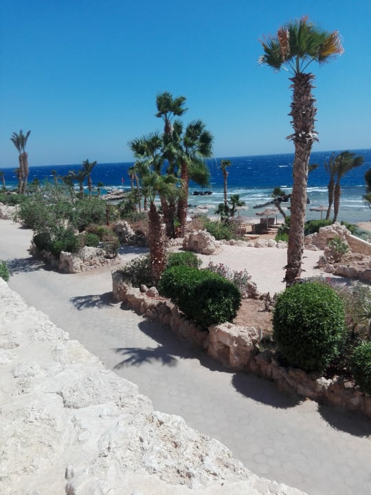 Strand Pickalbatros Citadel Resort