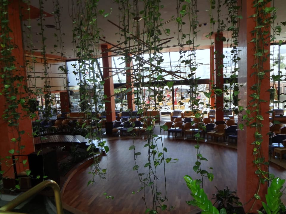 Zum restaurant Alexandre Hotel Gala