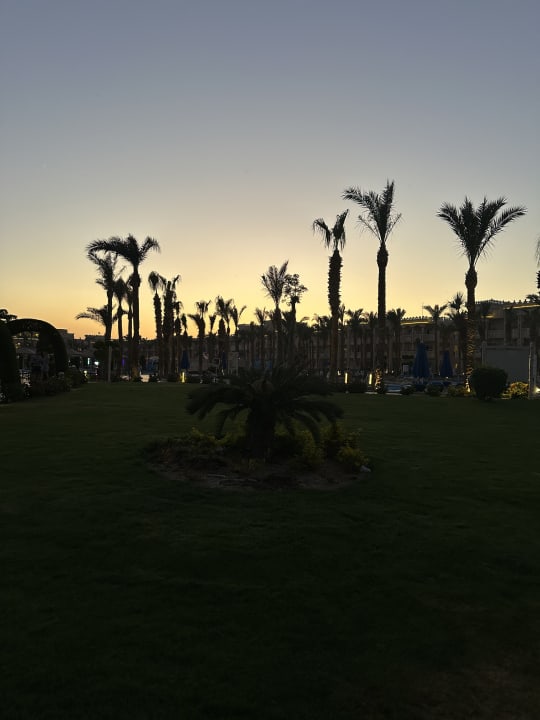 Gartenanlage Pickalbatros Palace Resort