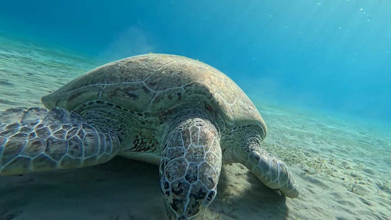 Sonstiges Malikia Resort Abu Dabbab