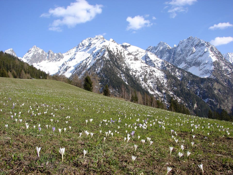 Pension Wiesenhof Wiesenhof