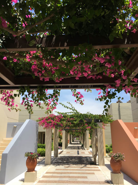 Gartenanlage Astir Odysseus Kos Resort & Spa