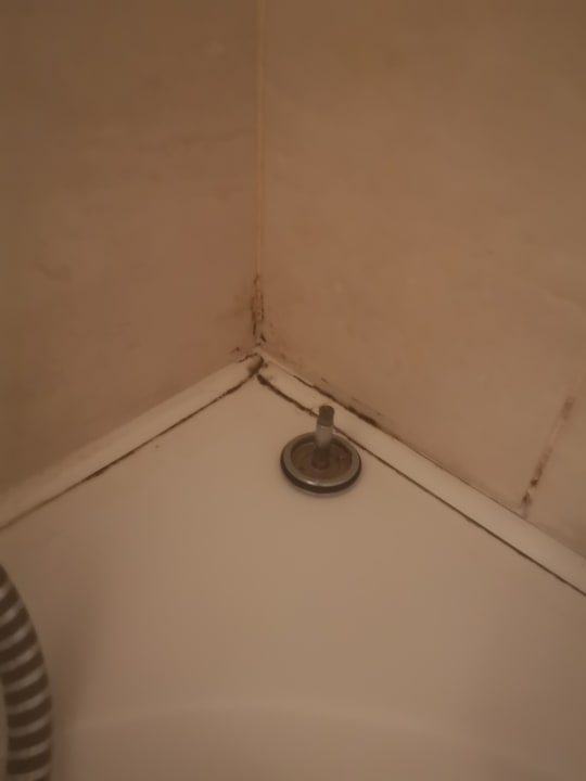 Zimmer Marlin Inn Azur Resort