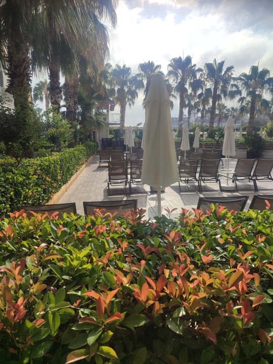 Gartenanlage Hane Family Resort