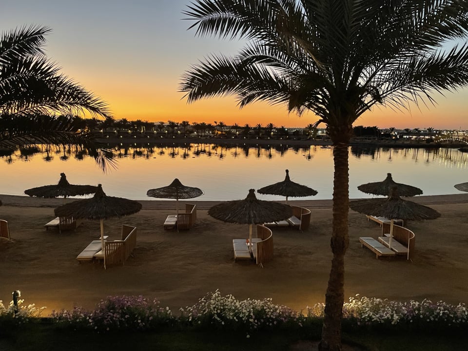 Ausblick Desert Rose