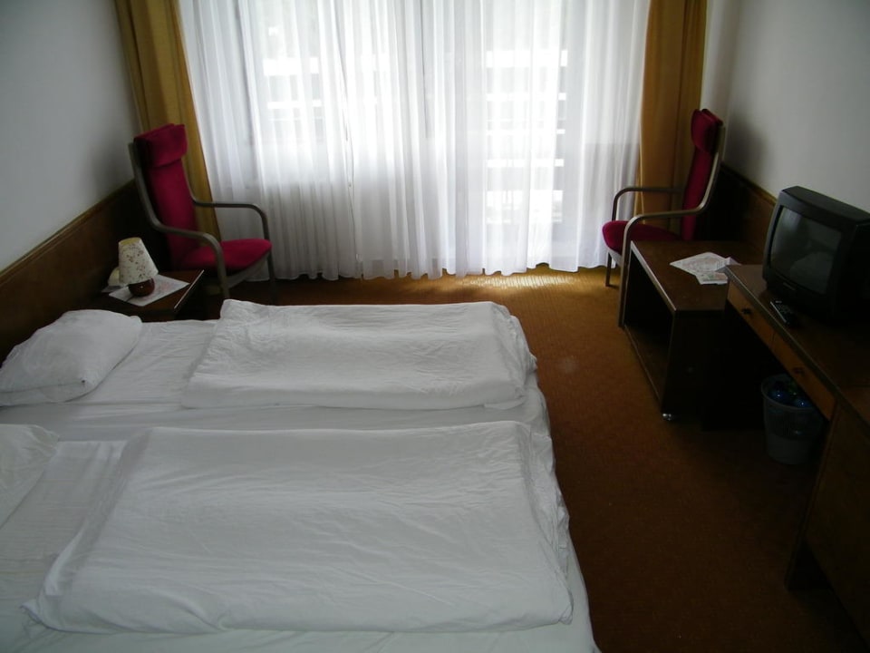 Zimmer Wellness Hotel Svornost