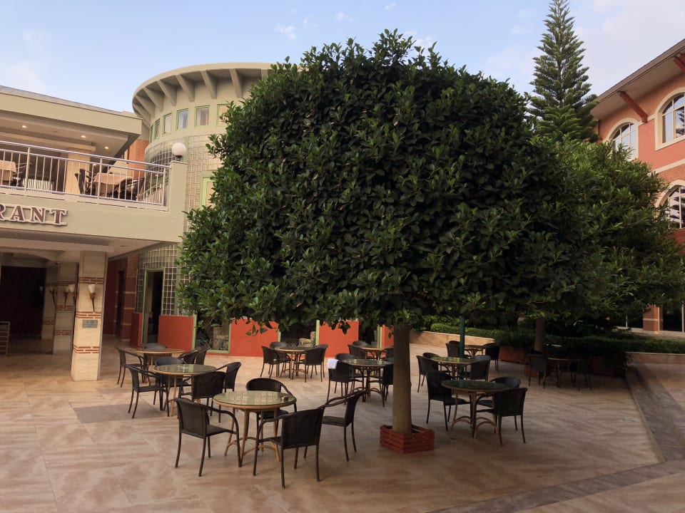 Restaurant Megasaray Club Belek