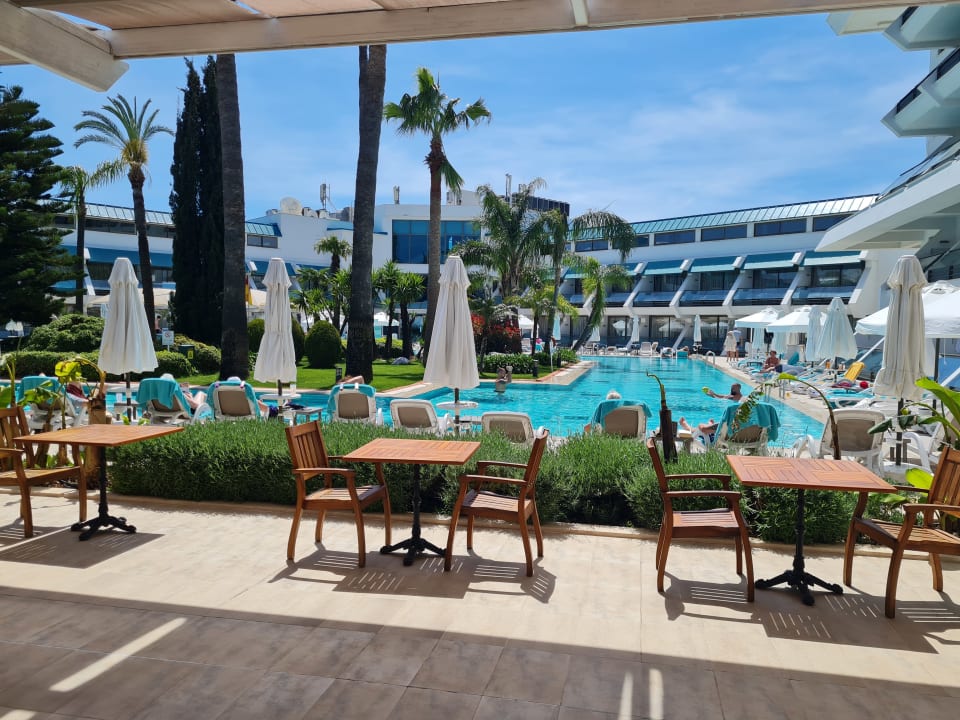 Pool Side Star Elegance