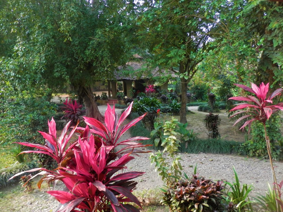 Gartenanlage Green Mansions Jungle Resort