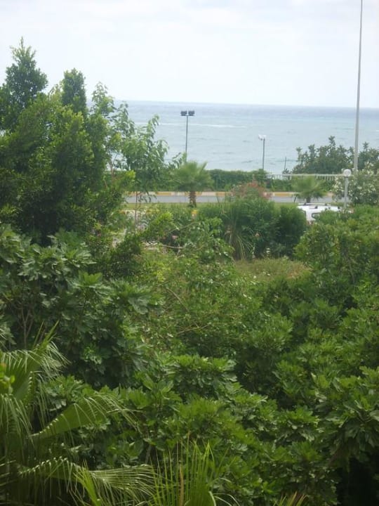 Вид из окна Aska Hotel Just in Beach