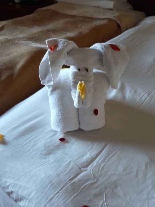 Zimmer Pickalbatros Sands Hotel - Port Ghalib