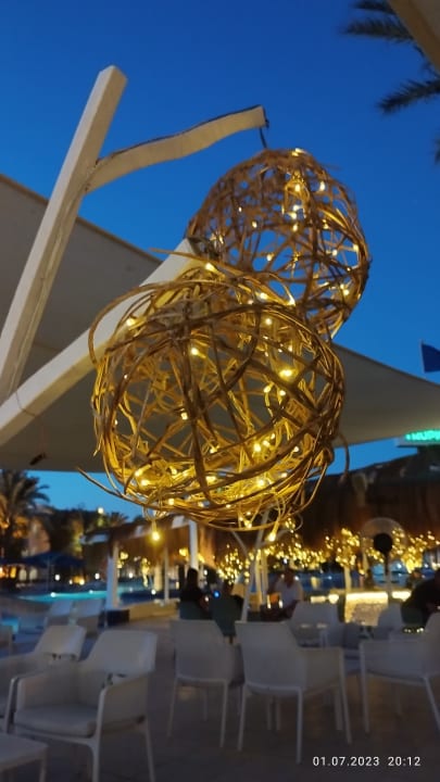 Sonstiges Desert Rose