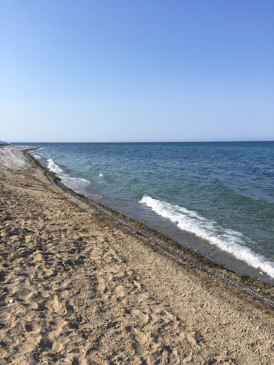 Strand alltoura Club Hotel Poseidon Palace