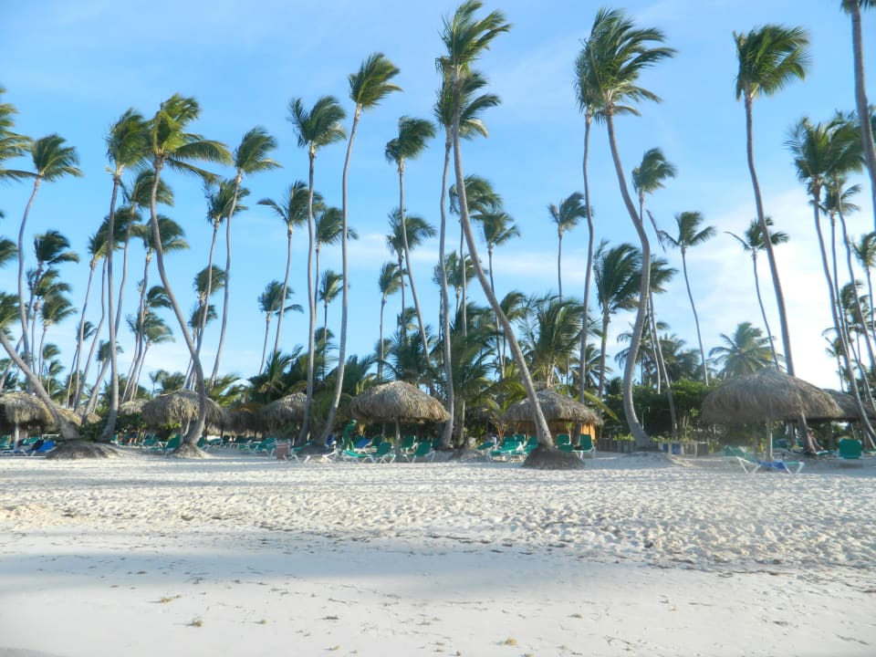 Einfach nur traumhaft! Grand Palladium Select Bávaro Resort & Spa