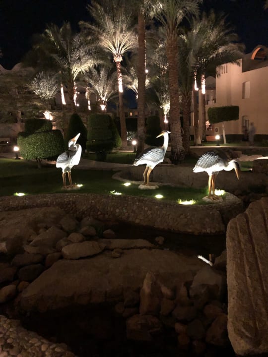 Gartenanlage Jaz Makadina