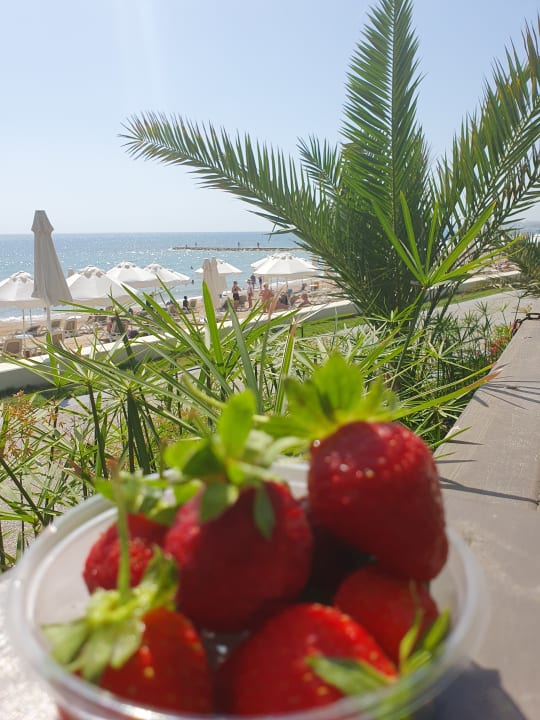 Ausblick PALOMA Perissia