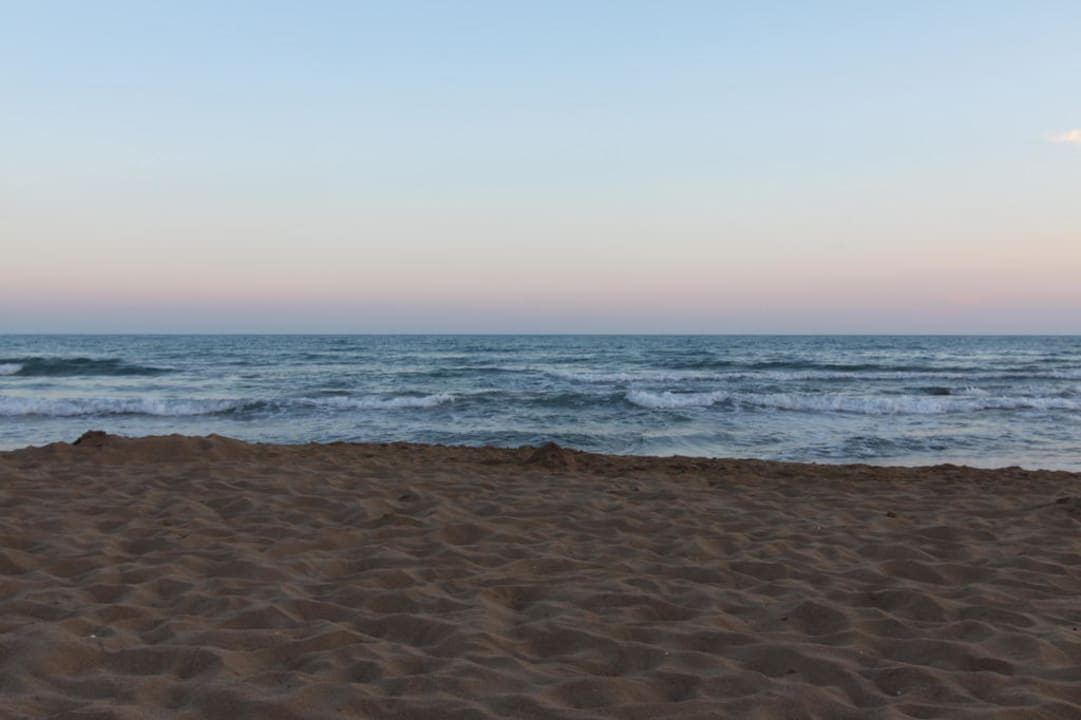 Strand des Hotels Hotel Orfeus Park