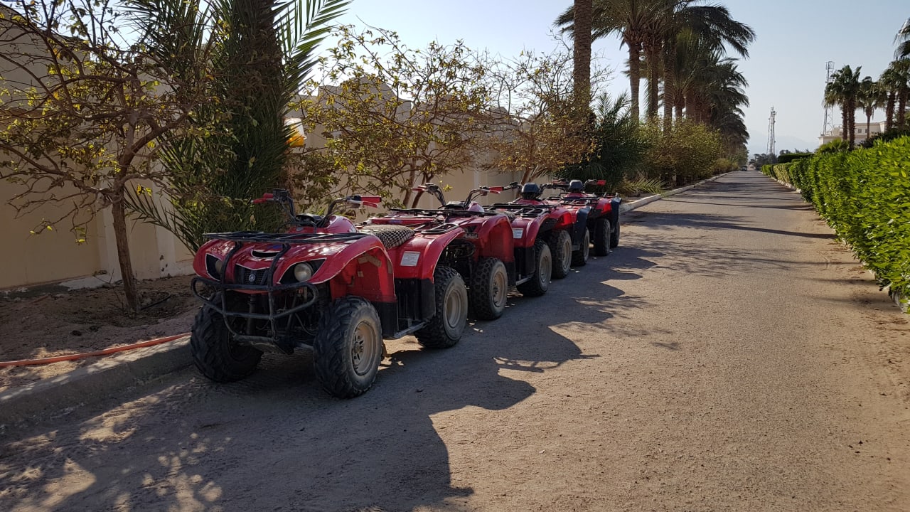 Sport & Freizeit Palm Royale Resort - Soma Bay