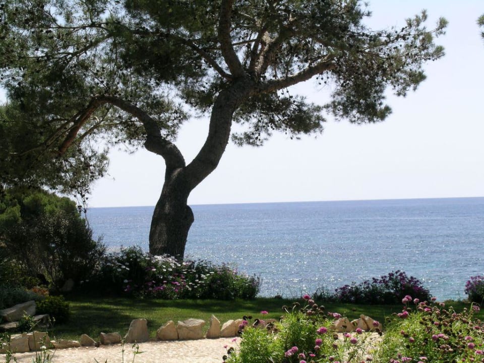 Gartenanlage Hipotels Eurotel Punta Rotja Golf & Spa