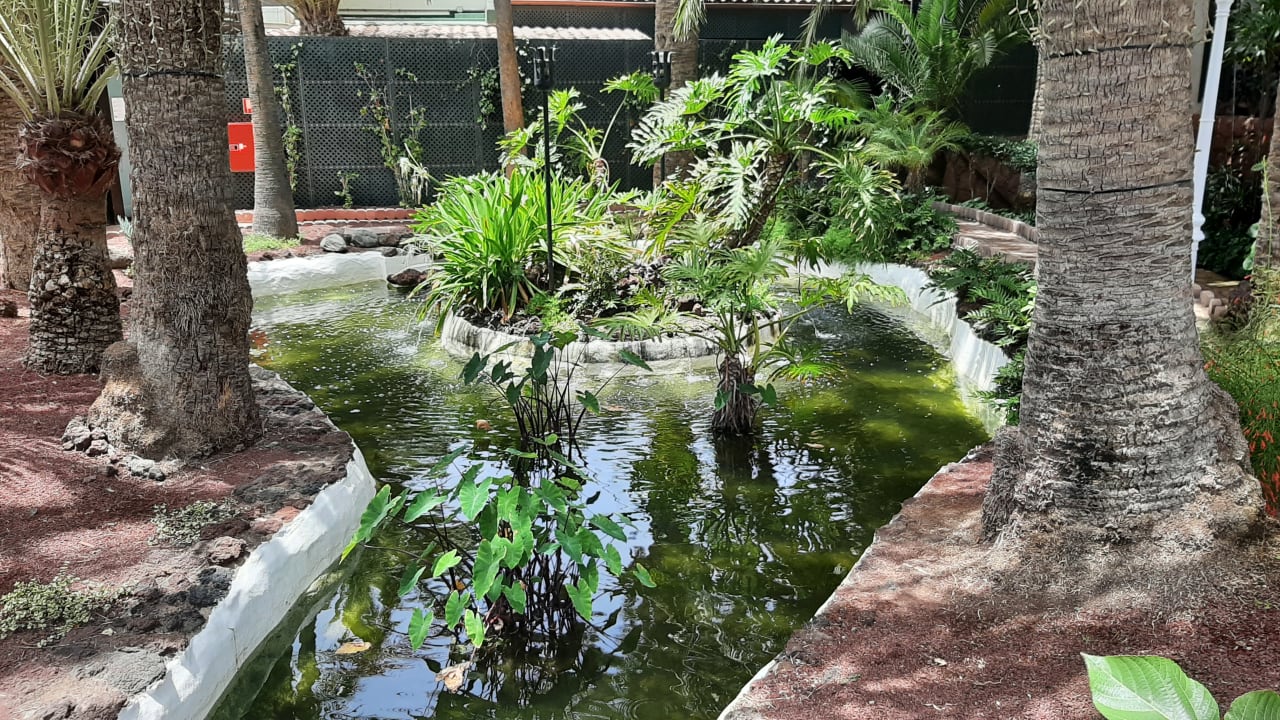 Gartenanlage Hotel Parque Tropical