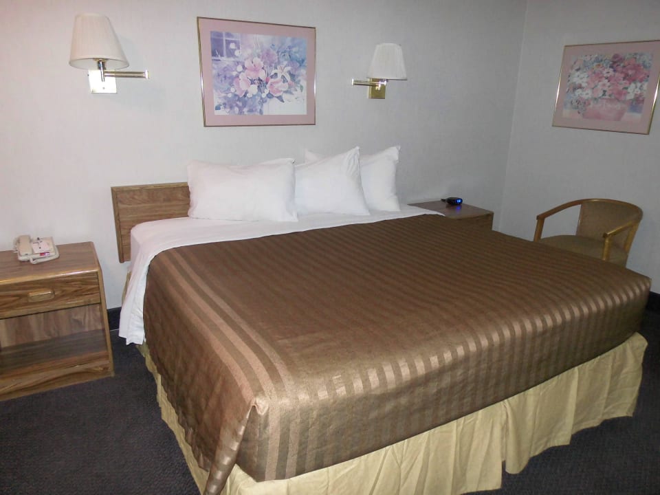 Standard Room Hotel Travelodge Page AZ