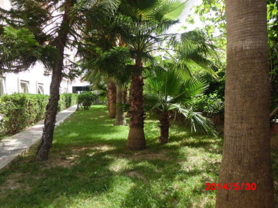 Kurzer Weg zum Strand Hotel Royal Garden Beach