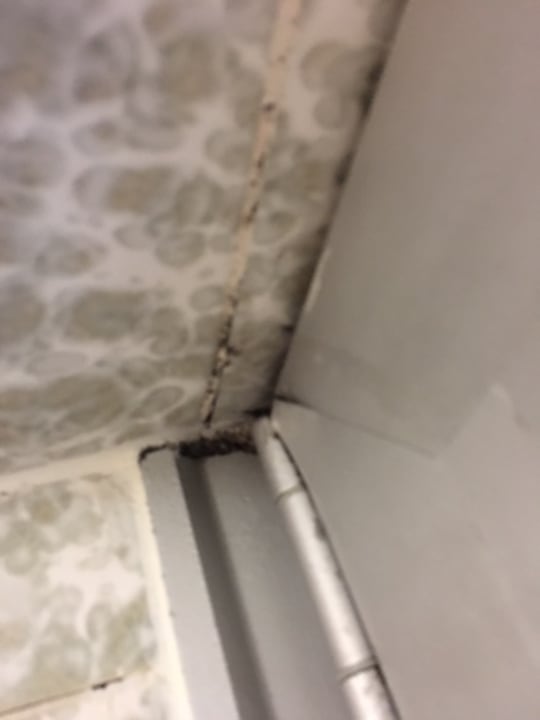 Zimmer Hotel Sturm Bio- & Wellnesshotel in der Rhön