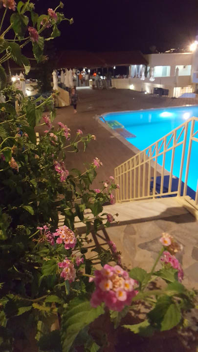 Pool Hotel Alexander House