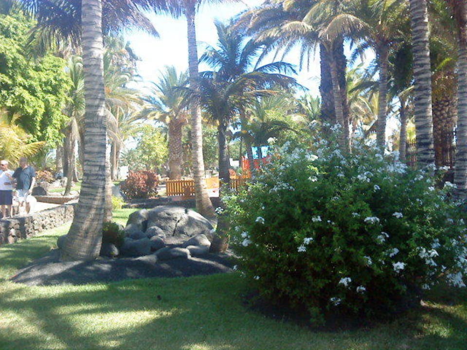 Schöne Gartenanlage Hipotels La Geria
