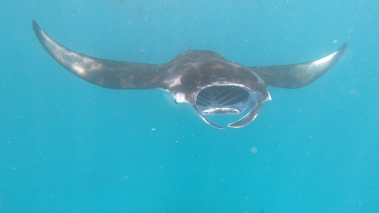 Sport & Freizeit NH Collection Maldives Reethi Resort