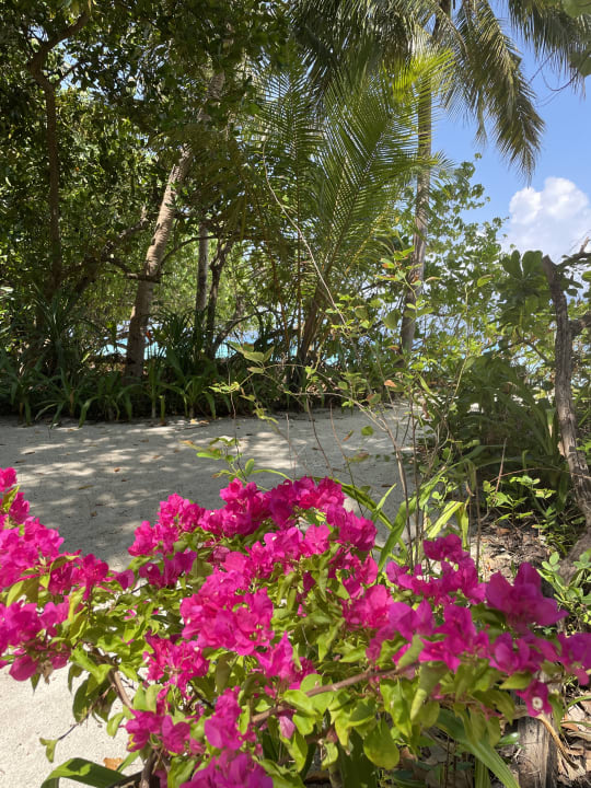 Gartenanlage NH Collection Maldives Reethi Resort