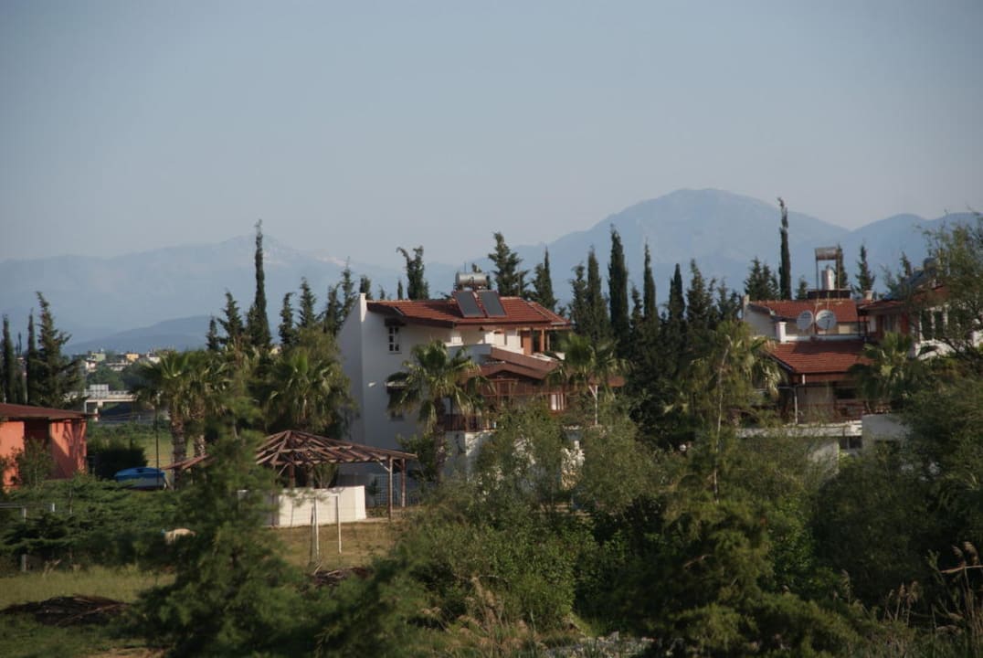 Widok z pokoju TUI KIDS CLUB Felicia Village