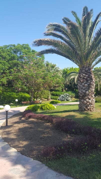 Gartenanlage Starlight Resort Hotel