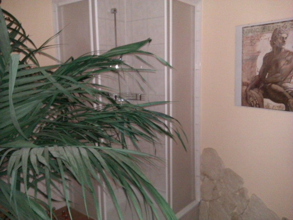 Saunalandschaft Hotel Cristallo