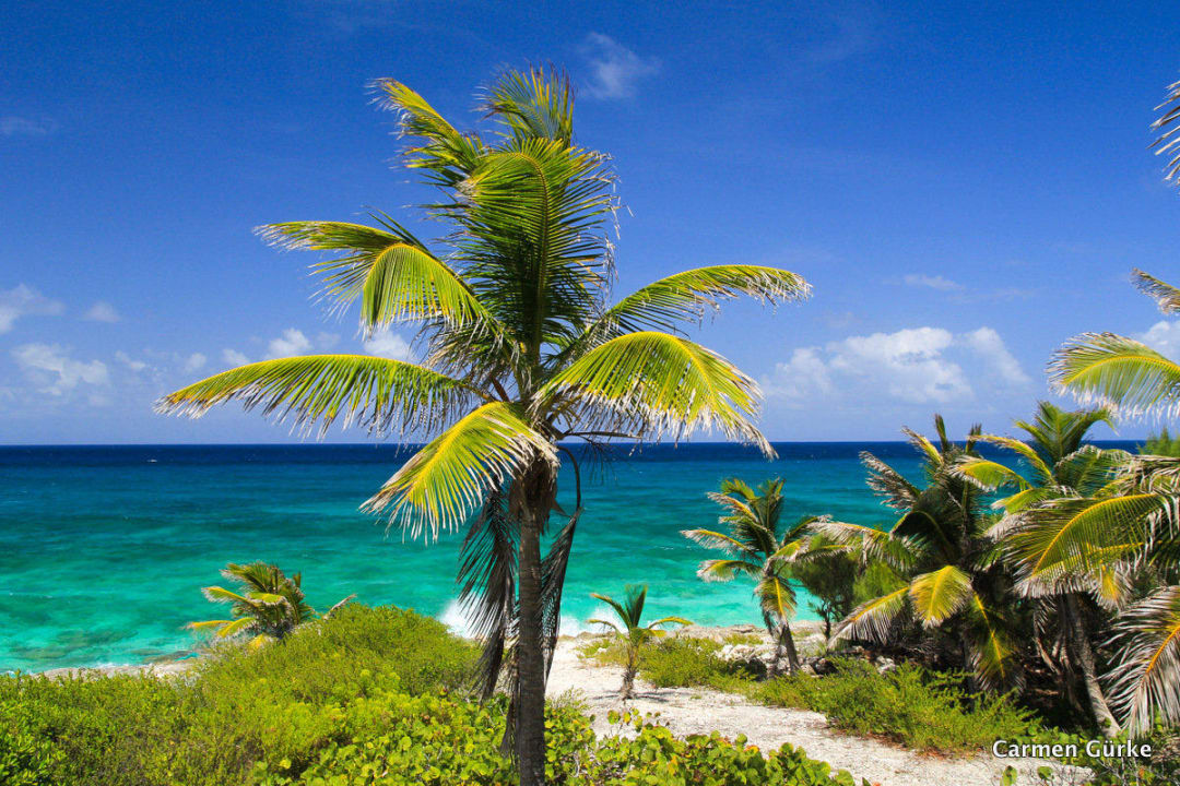 Strandspaziergang Hotel Stella Maris Resort