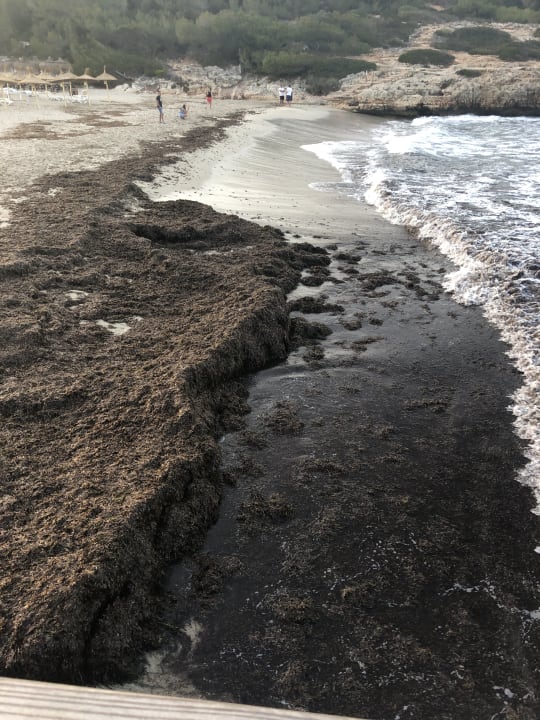 Strand ICON Valparaiso - Adults Only