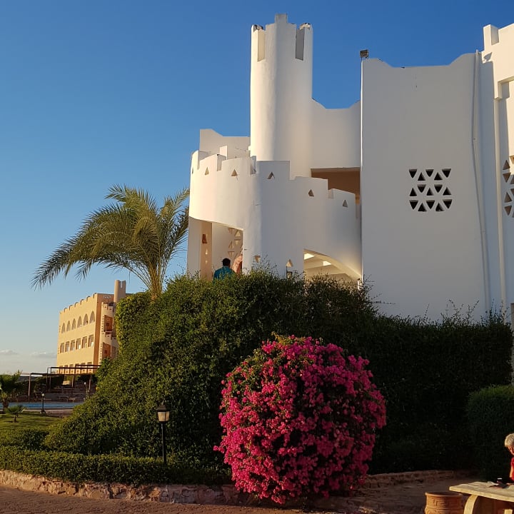 Gartenanlage Three Corners Equinox Beach Resort