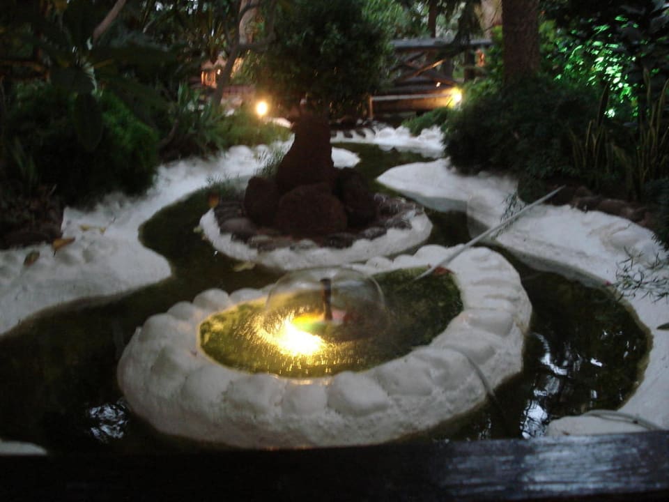 Noch ein Springbrunnen Hotel Parque Tropical