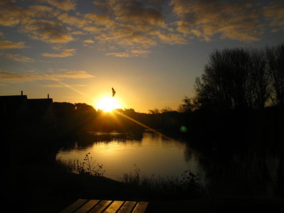 Sonnenaufgang, die vielen Vögel sind herrlich Center Parcs Park Zandvoort