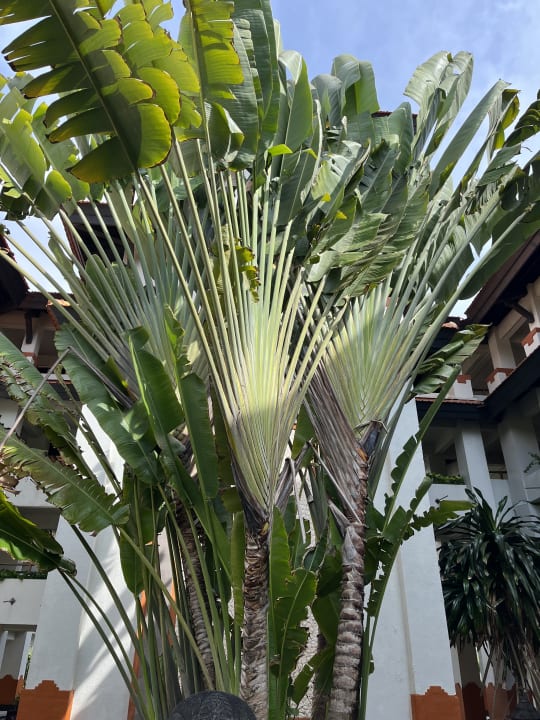 Außenansicht Grand Hyatt Bali